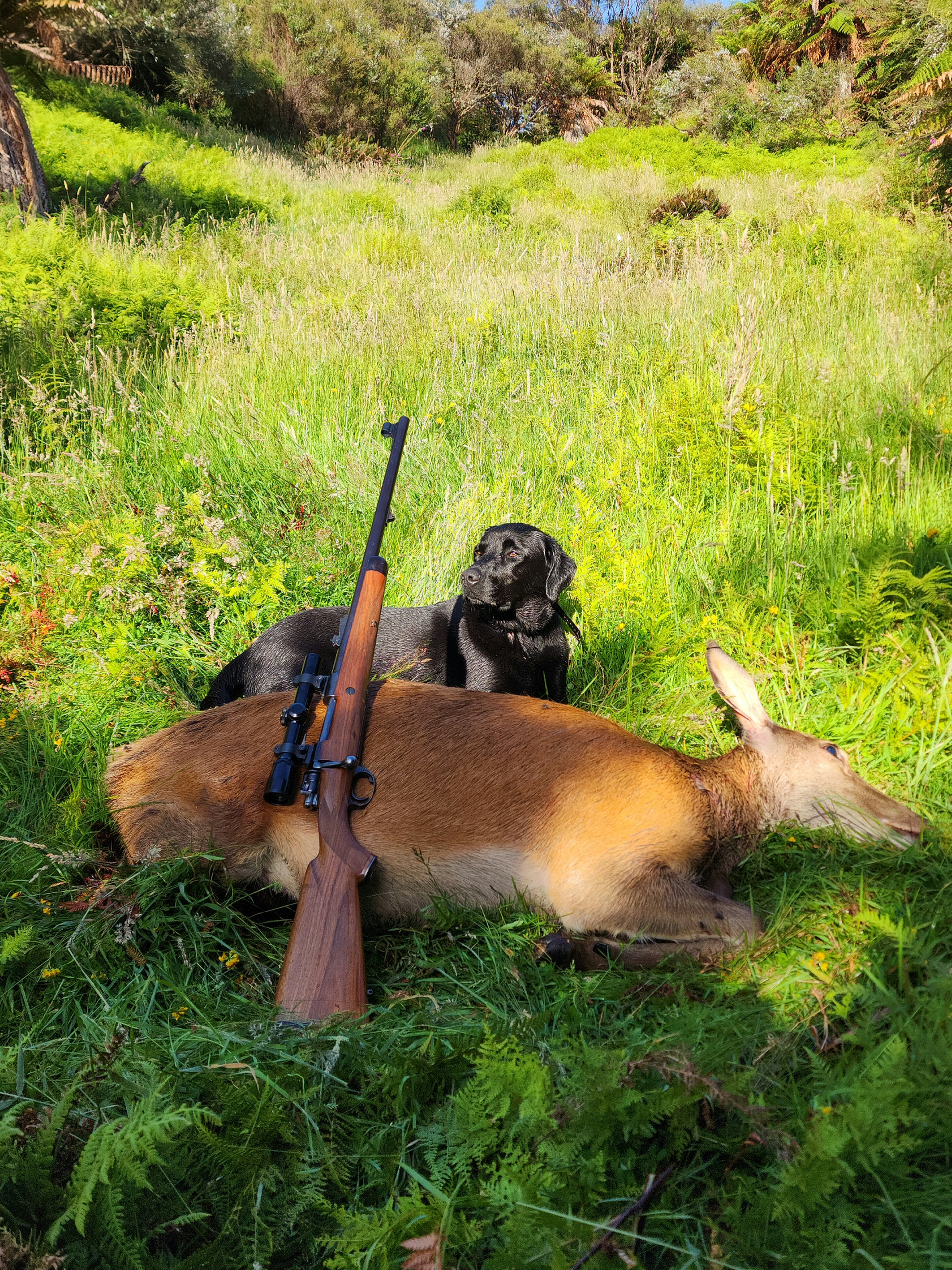 Name:  20260106_080024.jpg
Views: 512
Size:  3.96 MB