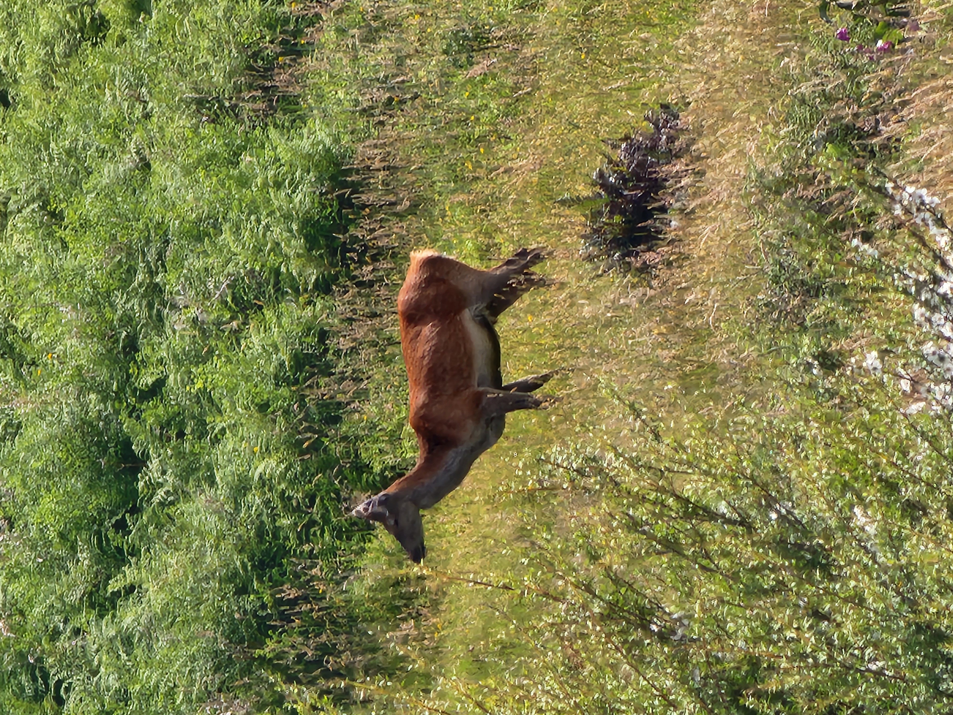 Name:  20260106_101452.jpg
Views: 508
Size:  3.44 MB