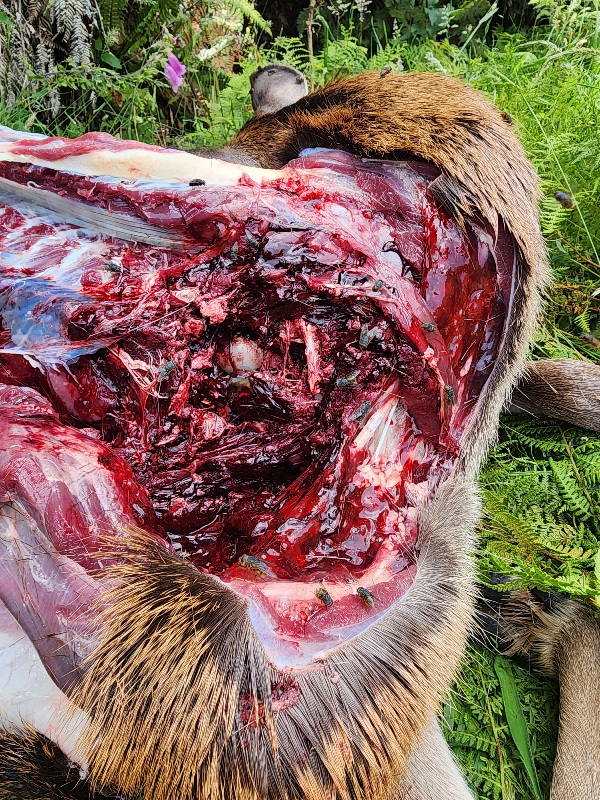 Name:  20260106_103845.jpg
Views: 238
Size:  385.5 KB