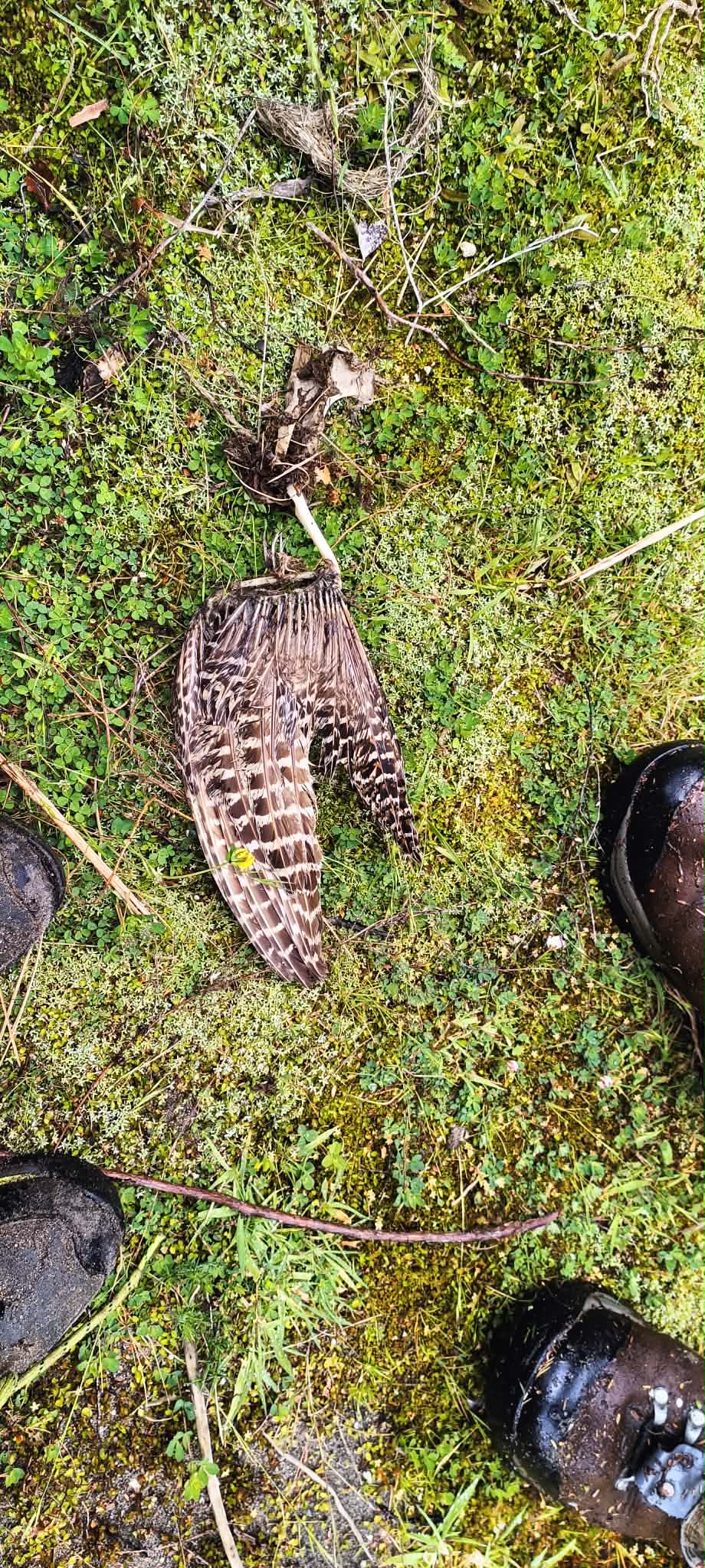 Name:  958499fa-e043-430b-871f-aa8058740efb.jpg
Views: 418
Size:  426.4 KB