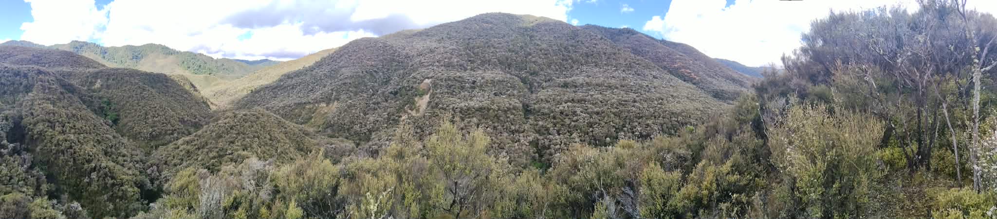 Name:  4fa6e9e8-2872-4b2f-82b4-1ad47c2fe11f.jpg
Views: 421
Size:  112.8 KB