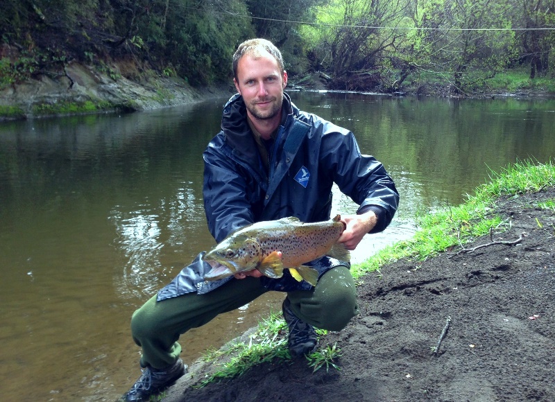 Name:  trout.jpg
Views: 1138
Size:  258.9 KB