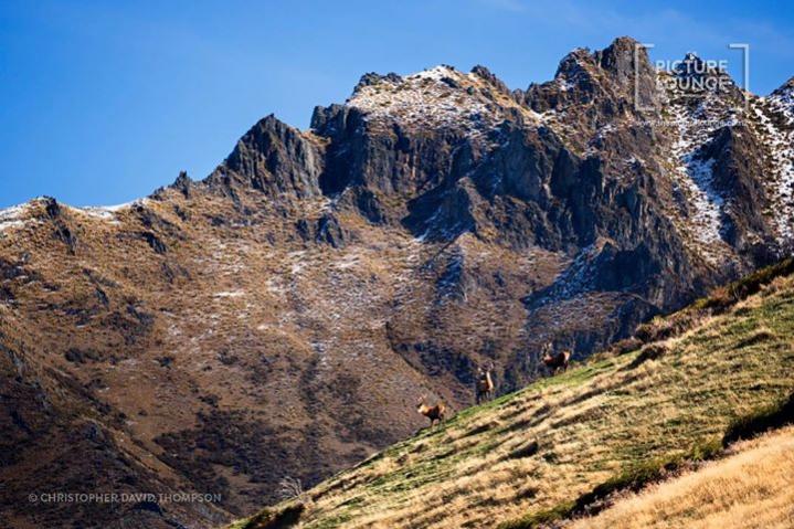 Name:  Three Stags Wanaka.jpg
Views: 712
Size:  81.2 KB
