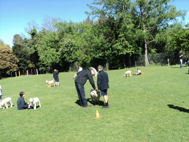 Name:  picture 4481.jpg
Views: 546
Size:  165.1 KB