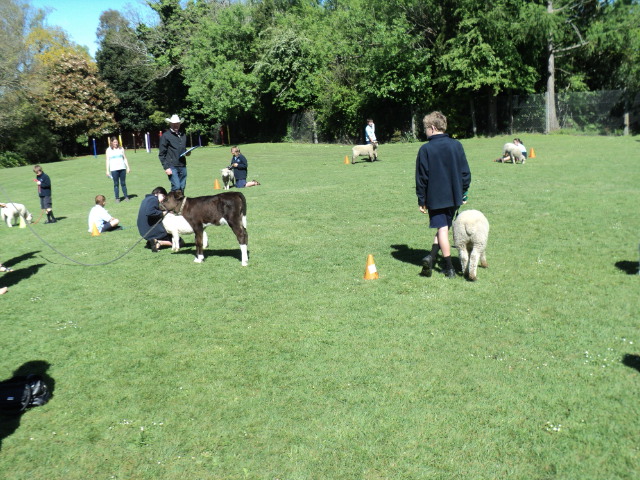 Name:  picture 4483.jpg
Views: 562
Size:  164.8 KB
