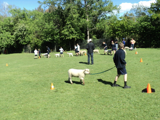 Name:  picture 4484.jpg
Views: 543
Size:  163.2 KB