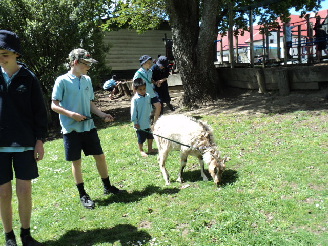 Name:  picture 4491.jpg
Views: 478
Size:  163.5 KB