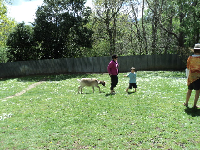 Name:  picture 4493.jpg
Views: 472
Size:  164.2 KB