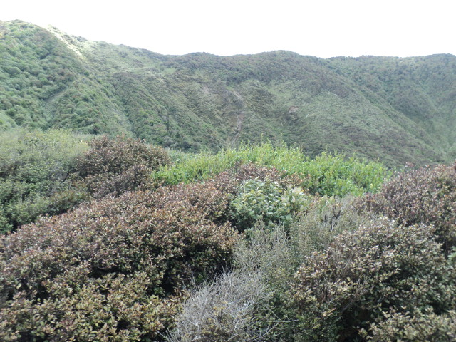 Name:  picture 4509.jpg
Views: 255
Size:  163.4 KB