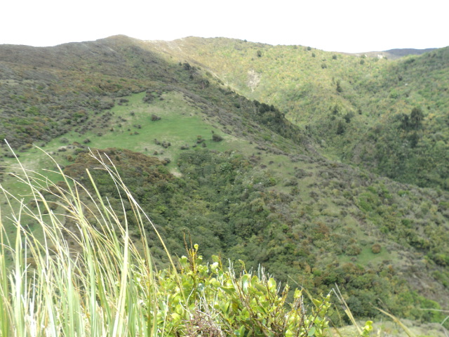 Name:  picture 4511.jpg
Views: 238
Size:  165.1 KB