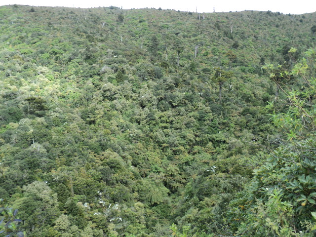 Name:  picture 4515.jpg
Views: 236
Size:  164.9 KB