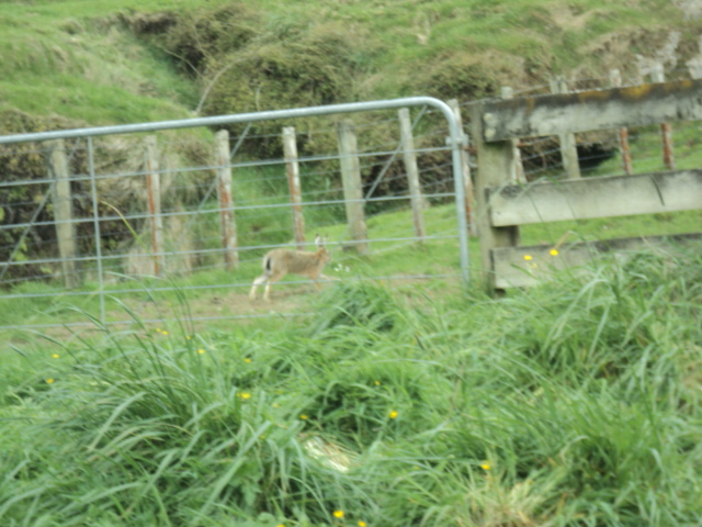 Name:  picture 4518.jpg
Views: 237
Size:  164.3 KB