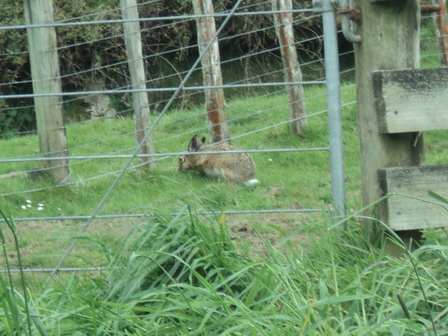Name:  picture 4519.jpg
Views: 245
Size:  164.0 KB