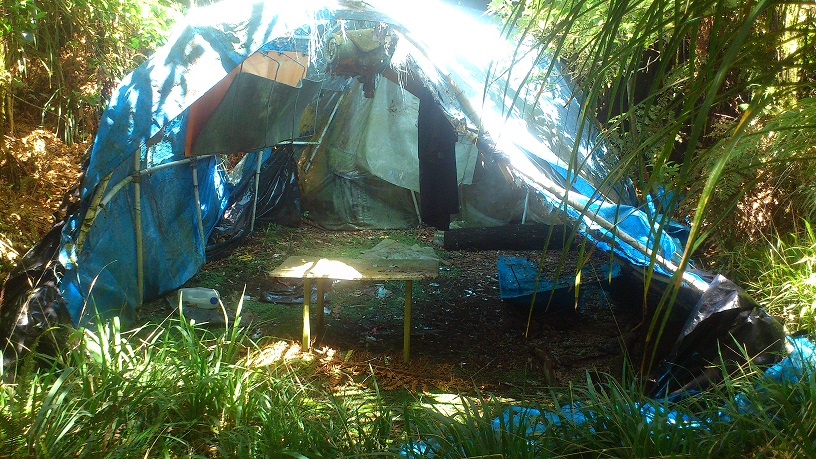 Name:  blue bivy.JPG
Views: 263
Size:  267.0 KB
