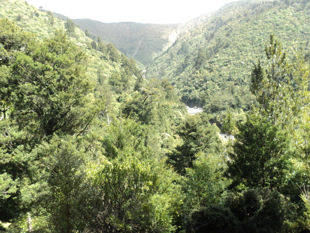 Name:  picture 4545.jpg
Views: 260
Size:  165.0 KB