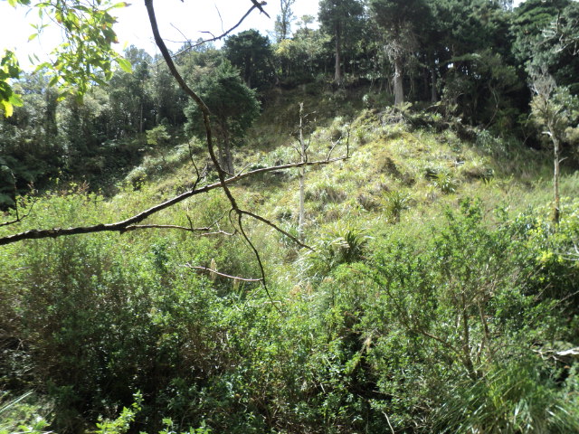 Name:  picture 4546.jpg
Views: 262
Size:  164.5 KB