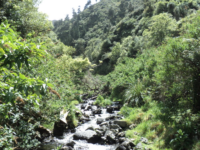 Name:  picture 4547.jpg
Views: 282
Size:  164.5 KB