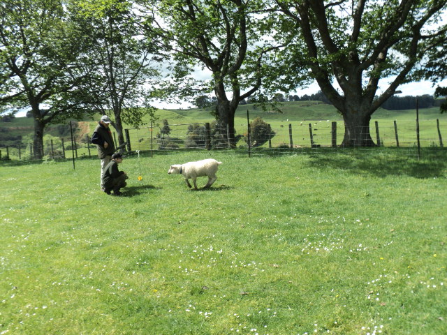 Name:  picture 4587.jpg
Views: 157
Size:  164.7 KB