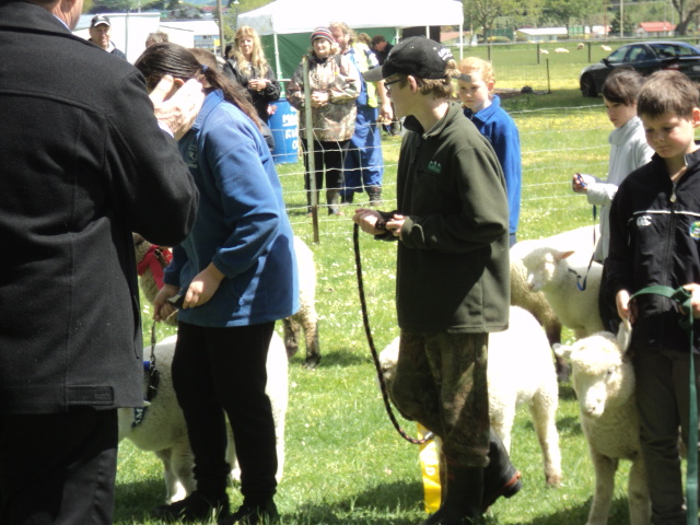 Name:  picture 4595.jpg
Views: 164
Size:  163.3 KB
