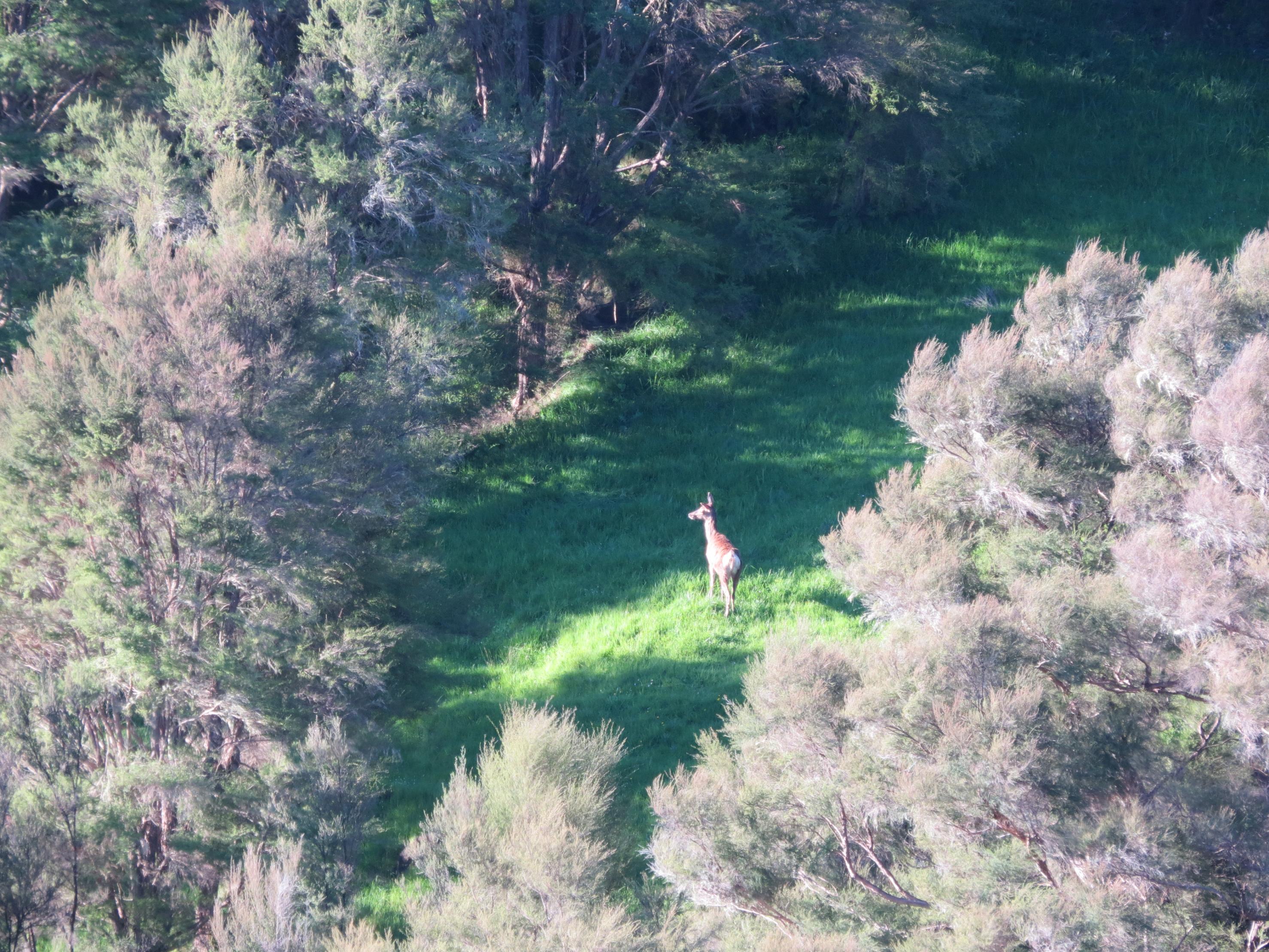 Name:  IMG_0035.jpg
Views: 541
Size:  1.05 MB