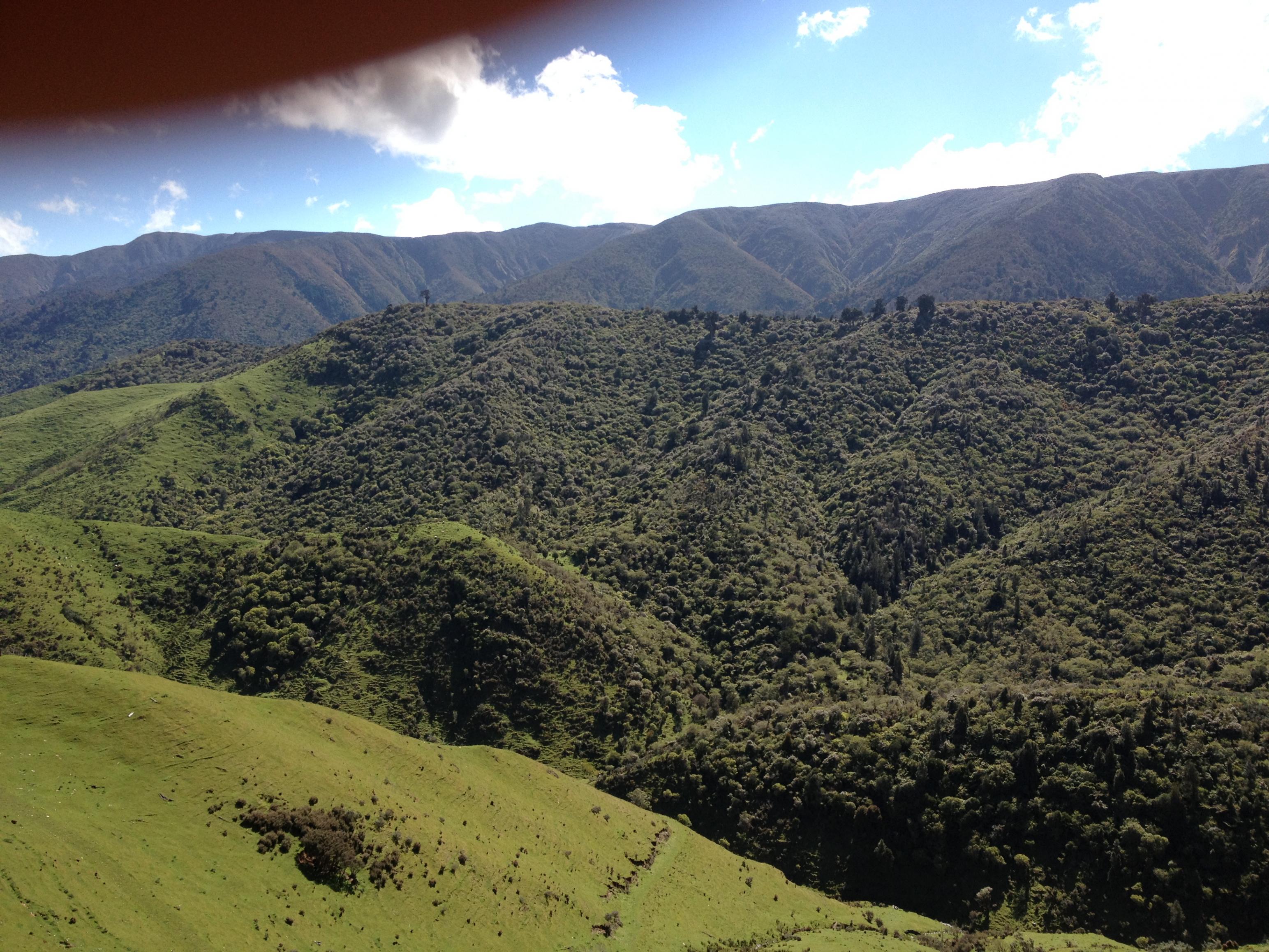 Name:  IMG_1812.jpg
Views: 700
Size:  1,012.0 KB