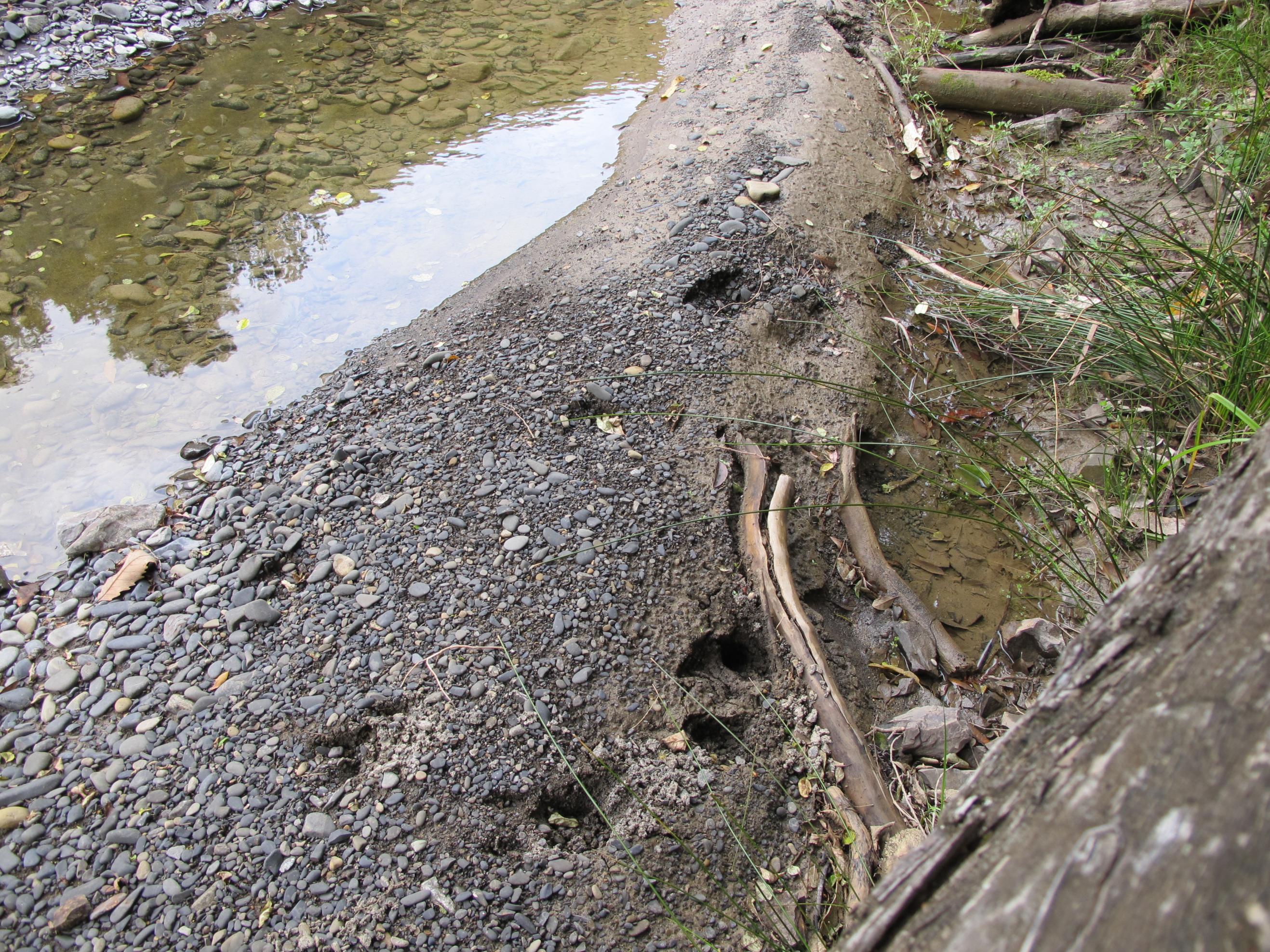 Name:  IMG_3156.jpg
Views: 567
Size:  1.11 MB