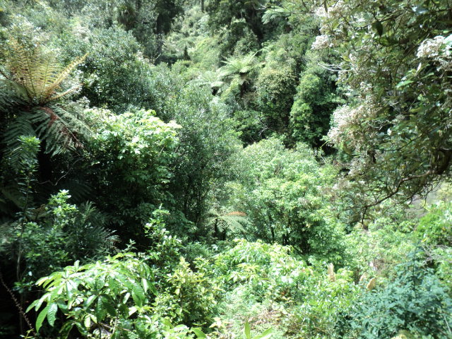 Name:  picture 4704.jpg
Views: 445
Size:  164.5 KB