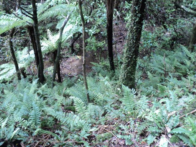 Name:  picture 4702.jpg
Views: 444
Size:  164.3 KB