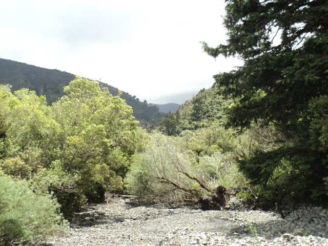 Name:  picture 4705.jpg
Views: 462
Size:  164.7 KB