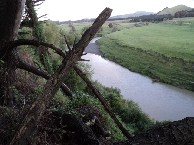 Name:  picture 4754.jpg
Views: 614
Size:  165.2 KB