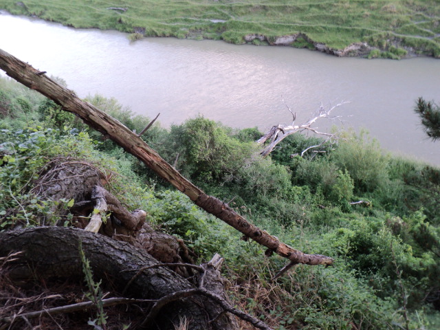 Name:  picture 4753.jpg
Views: 580
Size:  164.2 KB
