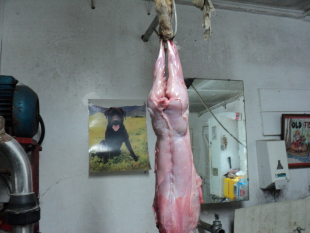 Name:  picture 4758.jpg
Views: 495
Size:  165.1 KB