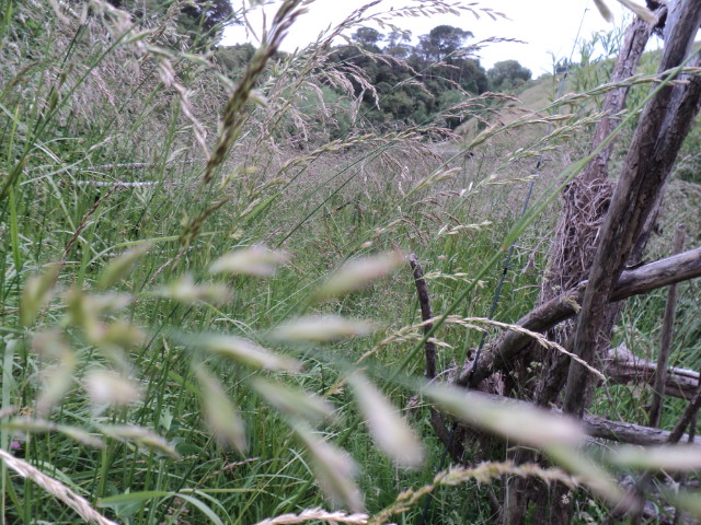 Name:  picture 4759.jpg
Views: 381
Size:  163.3 KB