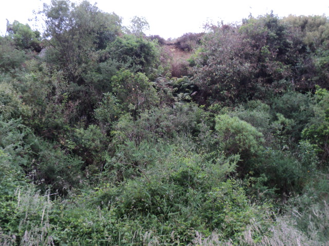 Name:  picture 4760.jpg
Views: 370
Size:  164.8 KB