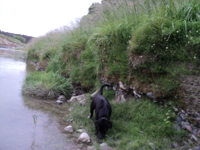 Name:  picture 4763.jpg
Views: 388
Size:  163.1 KB
