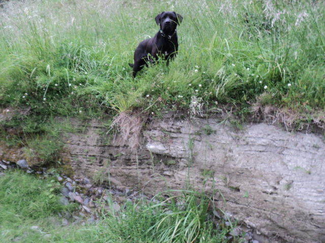 Name:  picture 4764.jpg
Views: 429
Size:  164.1 KB