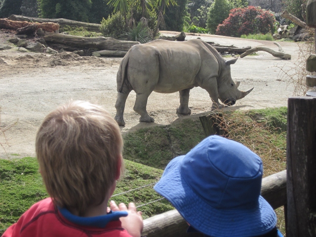 Name:  Kids @ Zoo (640x480).jpg
Views: 1228
Size:  235.2 KB