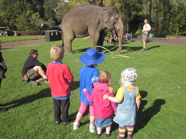 Name:  Kids Zoo (640x480).jpg
Views: 1219
Size:  282.6 KB