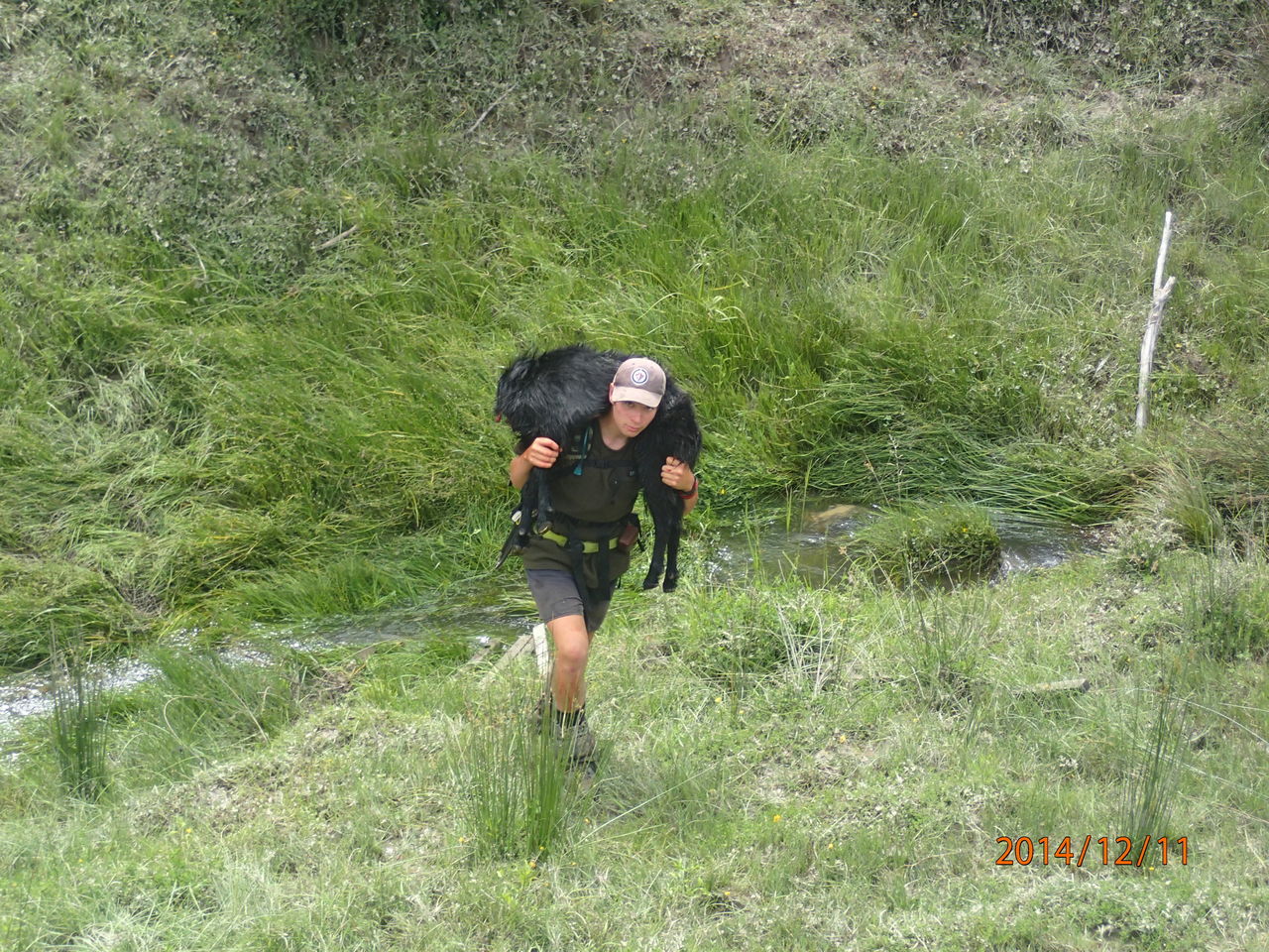 Name:  PC110634.jpg
Views: 612
Size:  398.3 KB