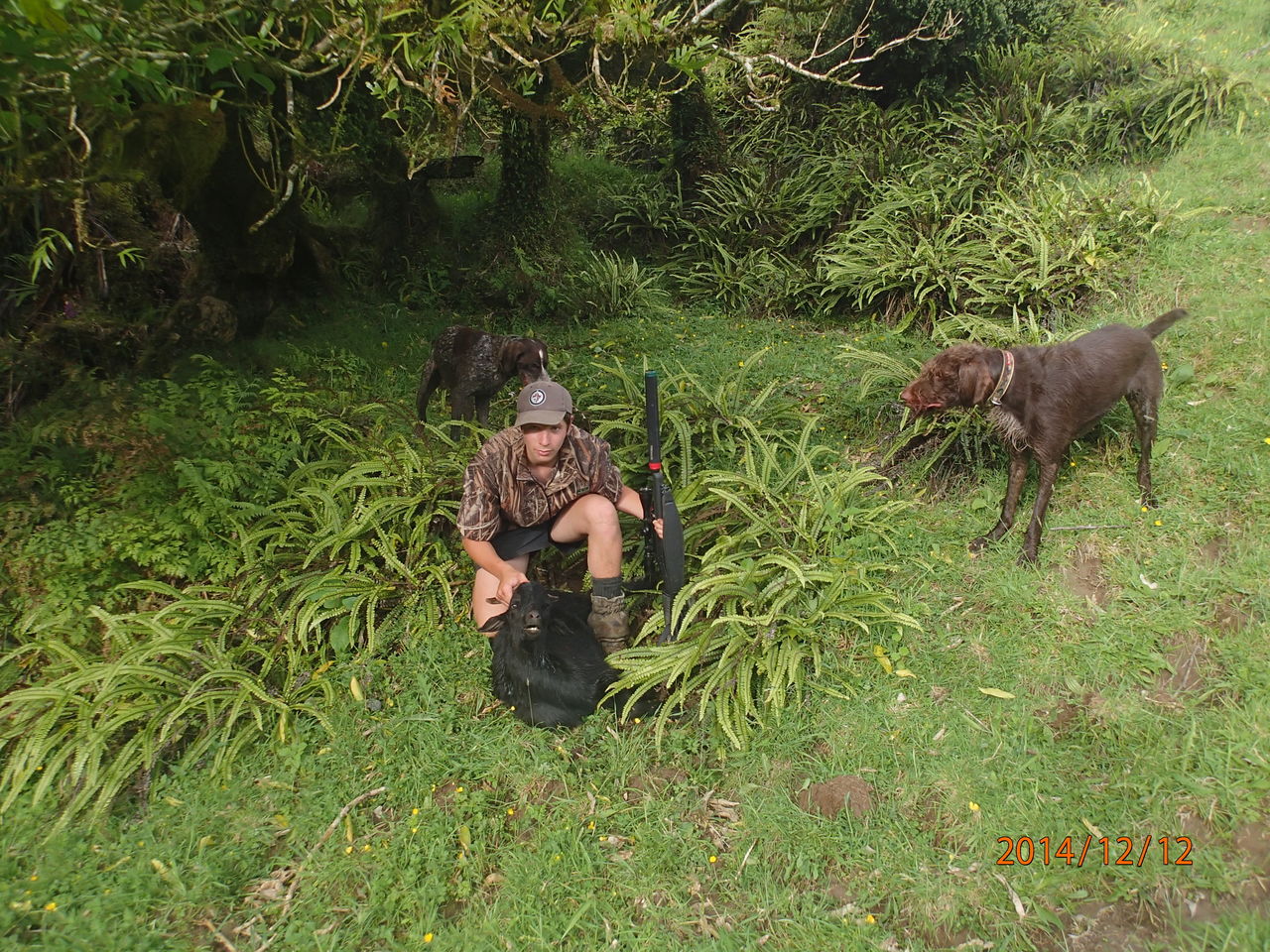 Name:  PC120661.jpg
Views: 587
Size:  409.4 KB