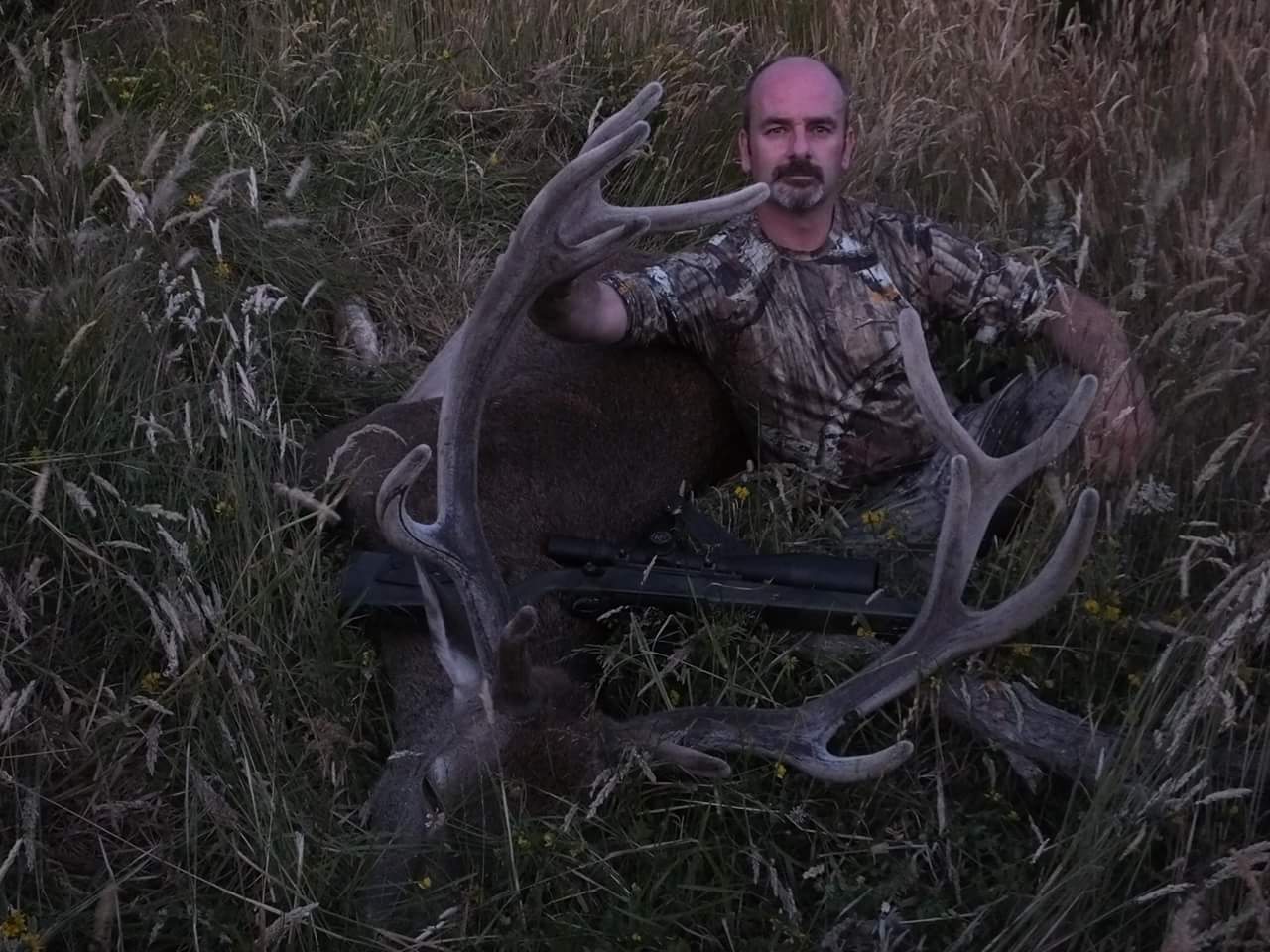 Name:  12pt stag.jpeg
Views: 494
Size:  140.0 KB