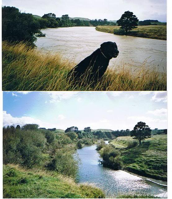 Name:  2004floodsTIRATU003.jpg
Views: 216
Size:  66.3 KB