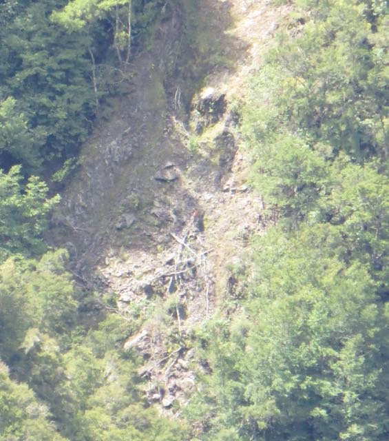 Name:  KAWEKA2.jpg
Views: 457
Size:  81.0 KB