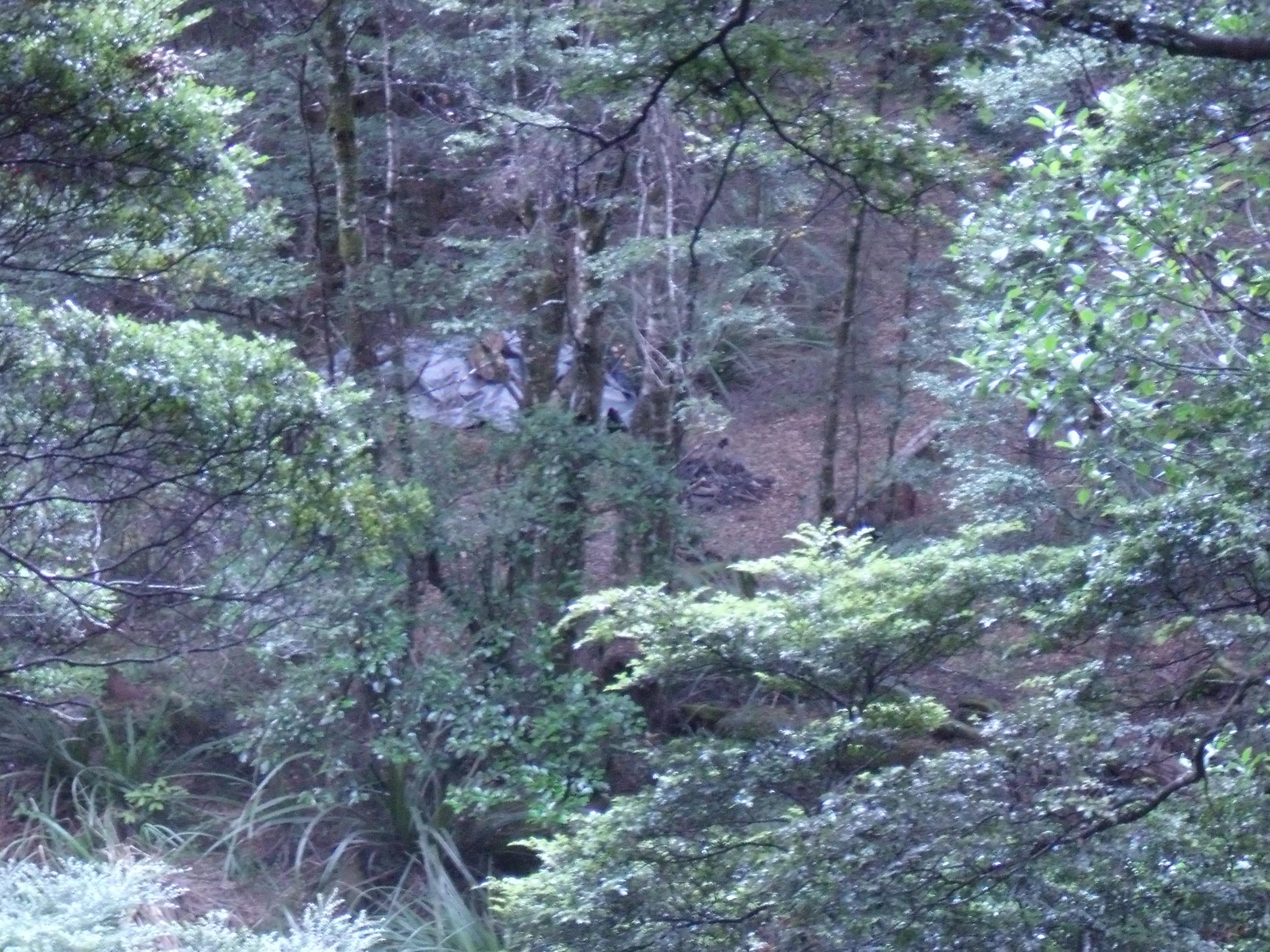 Name:  DSCF1690.jpg
Views: 583
Size:  1.01 MB