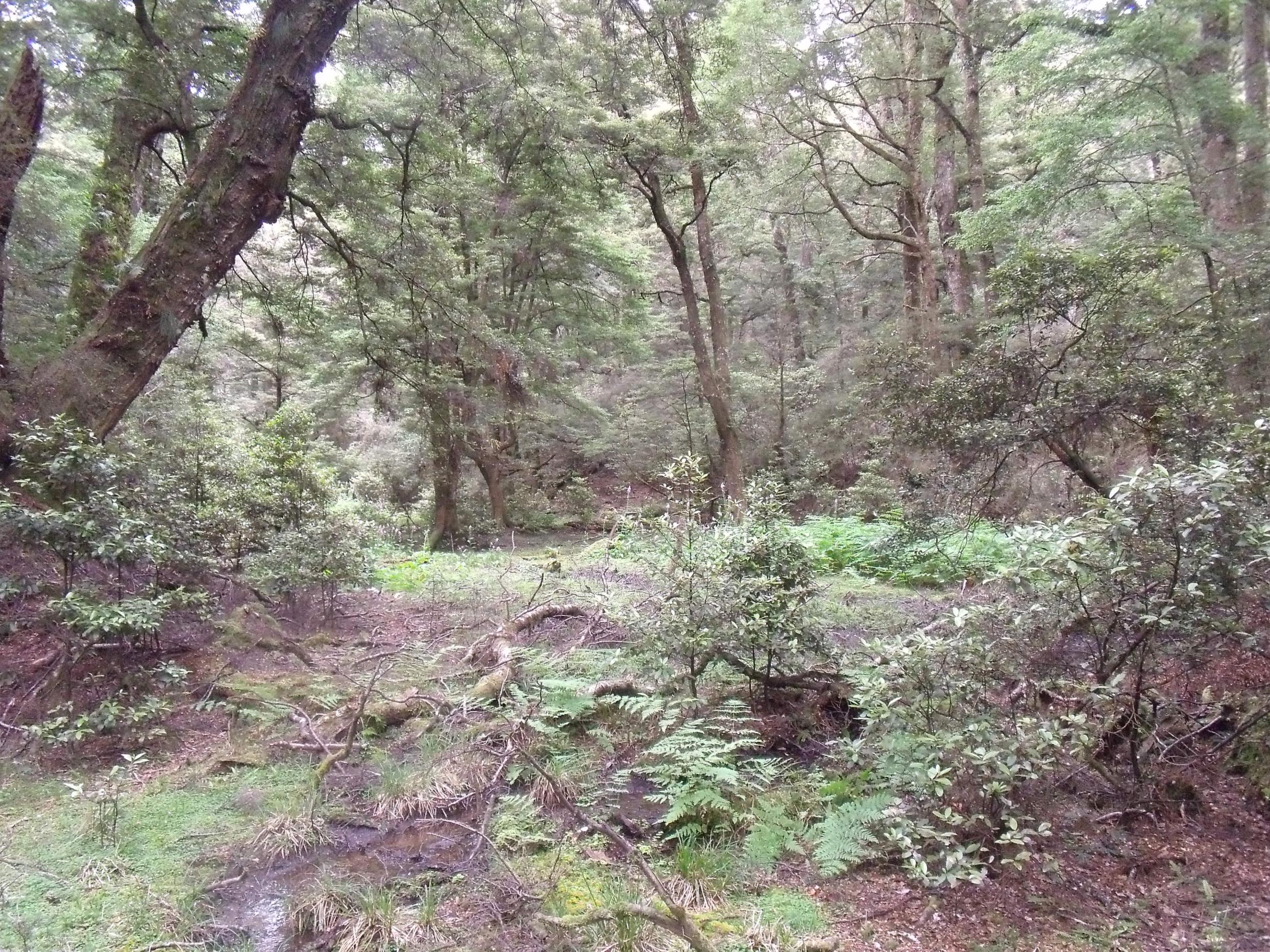 Name:  DSCF1693.jpg
Views: 535
Size:  1.14 MB