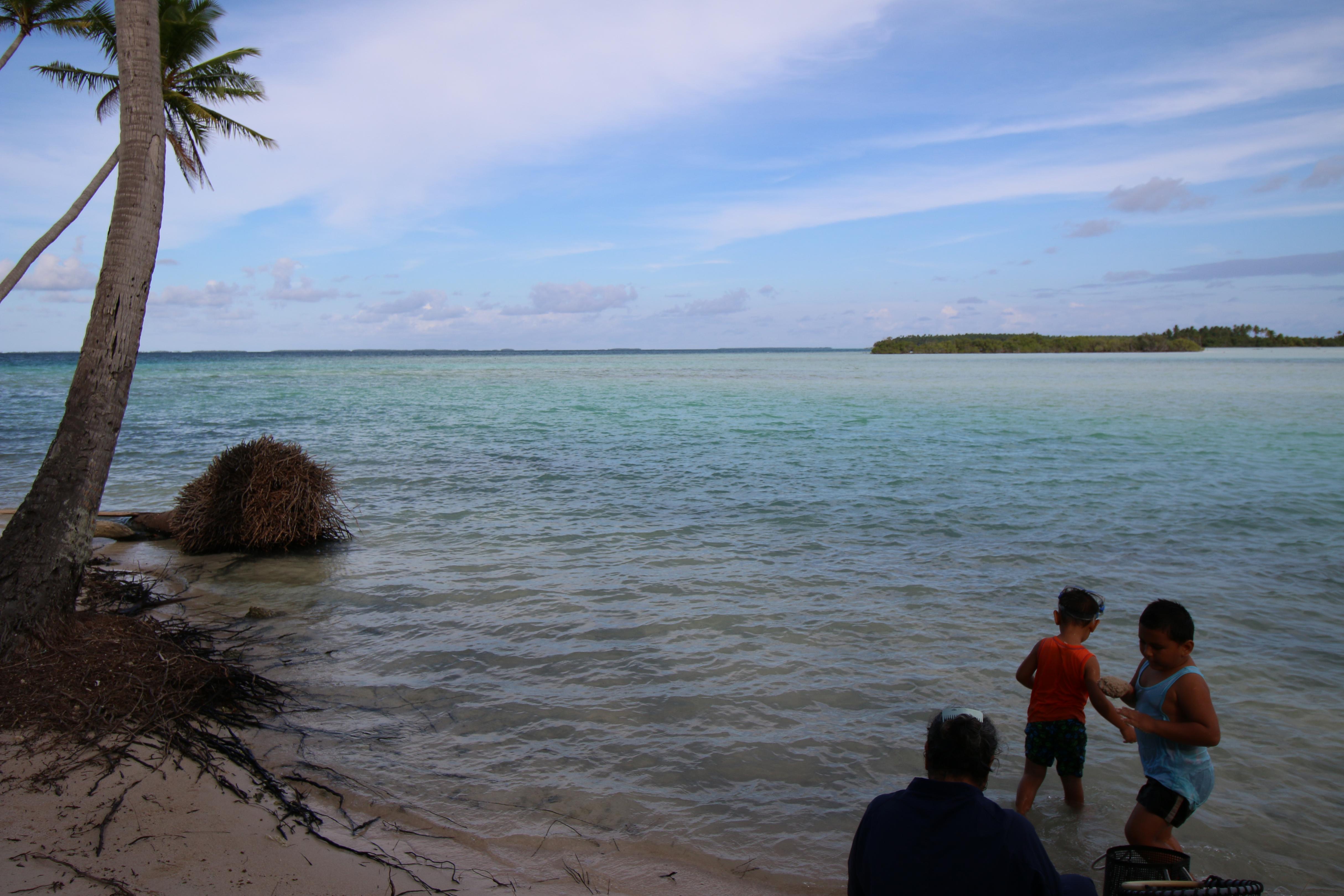 Name:  Penryhn Atoll 202.jpg
Views: 746
Size:  1.01 MB