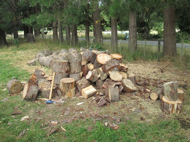 Name:  chopping wood.JPG
Views: 334
Size:  163.8 KB