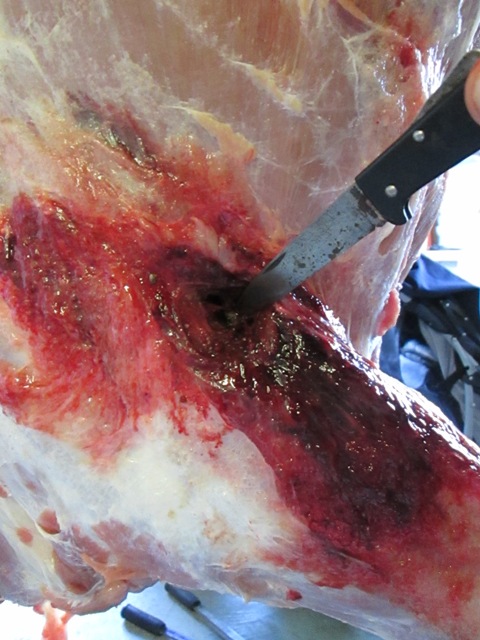 Name:  IMG_0507.JPG
Views: 370
Size:  111.8 KB