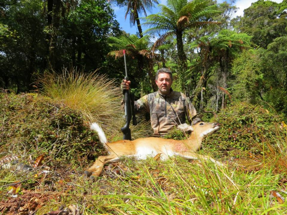 Name:  2nd whitetail.jpg
Views: 1425
Size:  154.7 KB