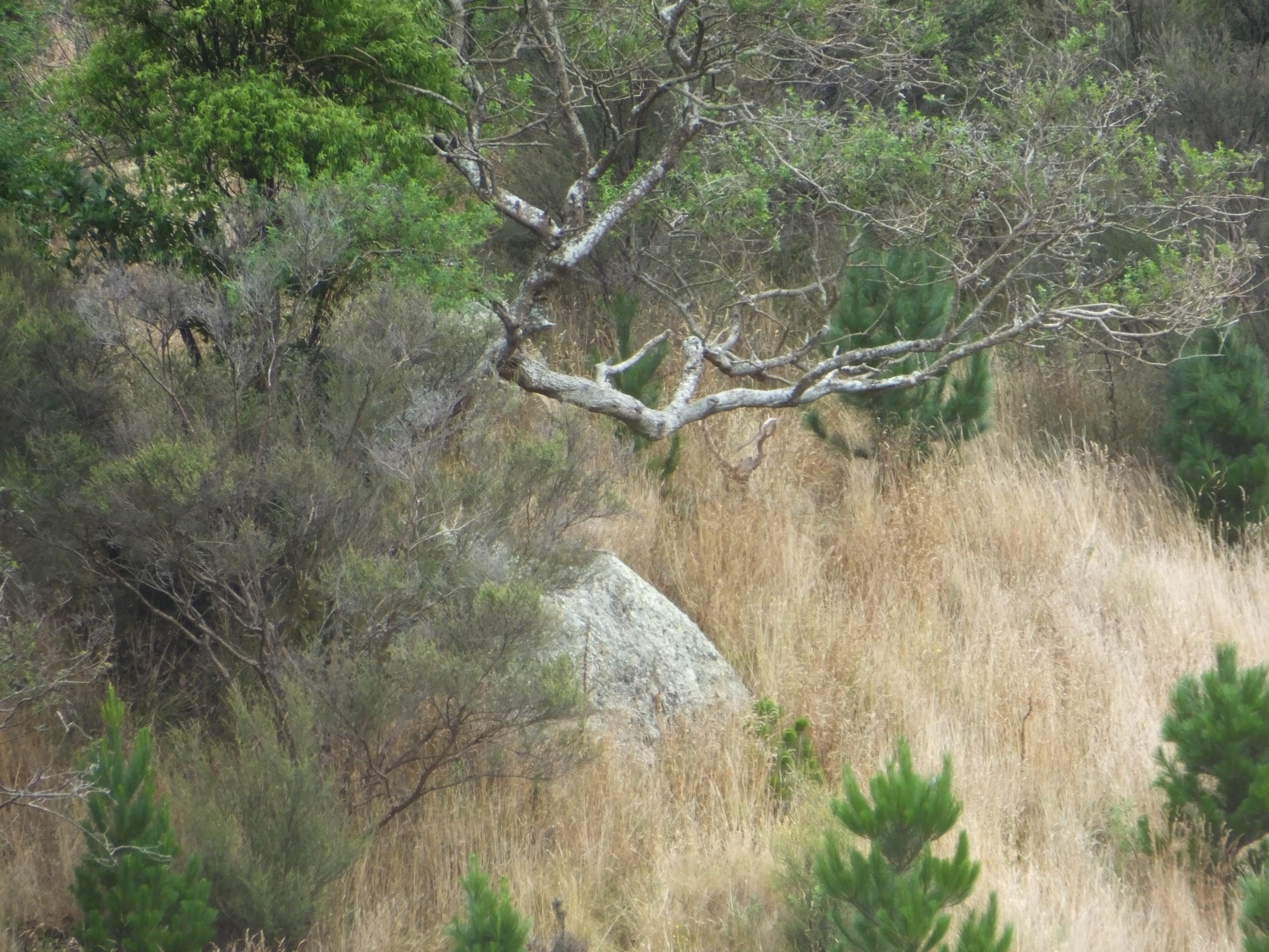 Name:  DSCF2866.jpg
Views: 523
Size:  989.6 KB